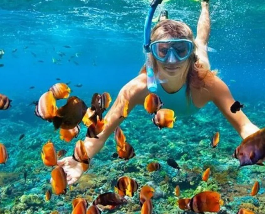 Mnemba Island Snorkeling gallery 3